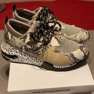 Steve Madden Cliff sneaker